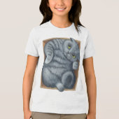 Kat in de doos Tri-Blend shirt (Voorkant)