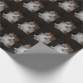 Kat in de gelaatskraag cadeaupapier (Hoek)