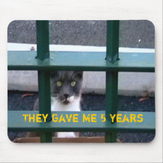 Kat in de gevangenis van Mousepad Muismat