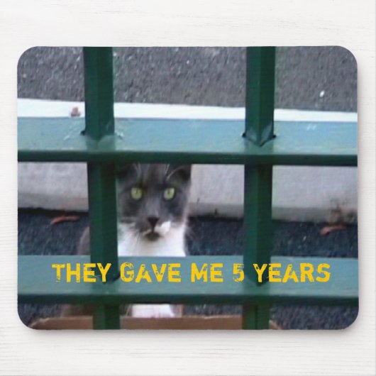 Kat in de gevangenis van Mousepad Muismat (Voorkant)