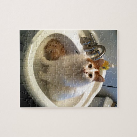 Kat in de gootsteen legpuzzel (Horizontaal)