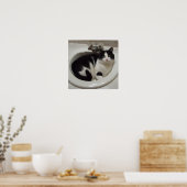 Kat in de gootsteen poster (Keuken)