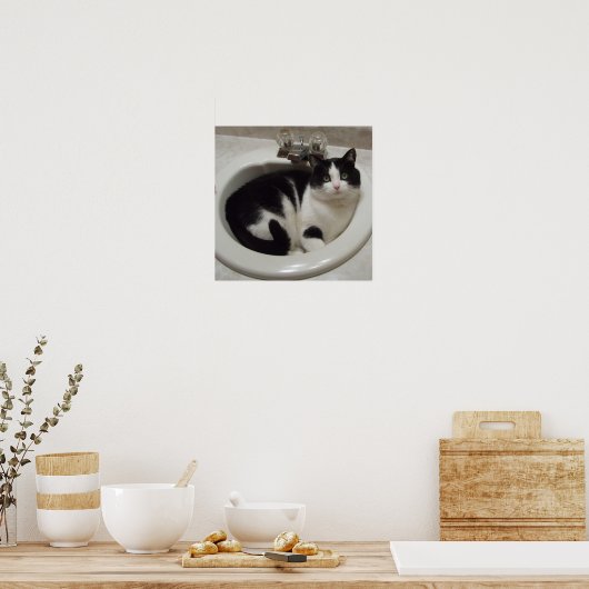 Kat in de gootsteen poster (Keuken)