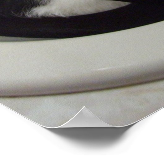 Kat in de gootsteen poster (Hoek)