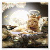 Kat in de hemel Foto Prints. Foto Afdruk (Voorkant)
