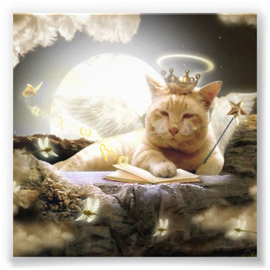 Kat in de hemel Foto Prints. Foto Afdruk (Voorkant)