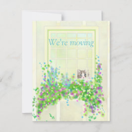 Kat in de Kaart van de Nota van de Nota van het Ad Notitiekaartje