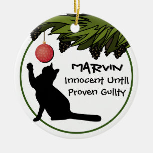 Kat in de kerstboom Funny Personalized Keramisch Ornament