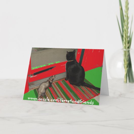 Kat in de Kerstkaart van het Vakje Feestdagen Kaart (Achterkant)