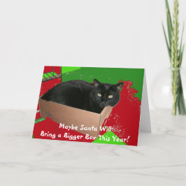 Kat in de Kerstkaart van het Vakje Feestdagen Kaart