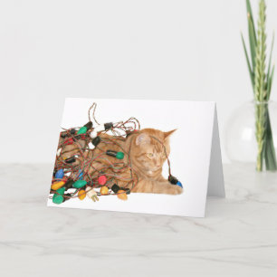 Kat in de kerstverlichting feestdagen kaart