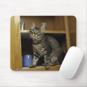 Kat in de klapplank Mousepad Muismat (Met muis)
