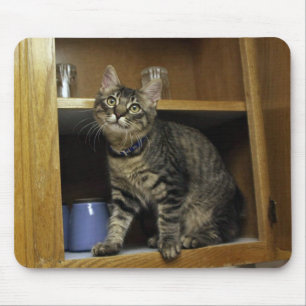 Kat in de klapplank Mousepad Muismat