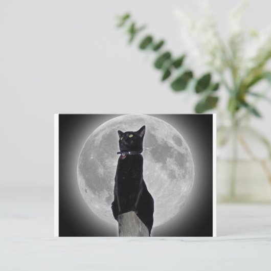 Kat in de maan briefkaart (Staand voorkant)