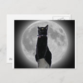 Kat in de maan briefkaart (Voorkant / Achterkant)