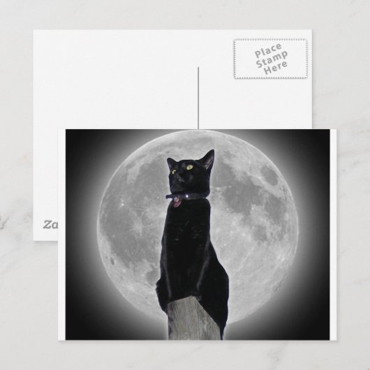 Kat in de maan briefkaart (Voorkant / Achterkant)