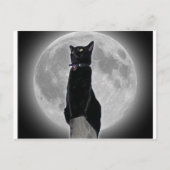 Kat in de maan briefkaart (Voorkant)