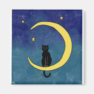 Kat in de maan magneet