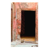 Kat in de medina - Marrakech, Marokko Foto Afdruk (Voorkant)