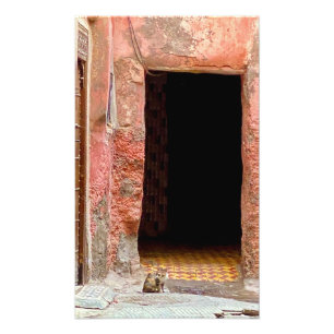 Kat in de medina - Marrakech, Marokko Foto Afdruk