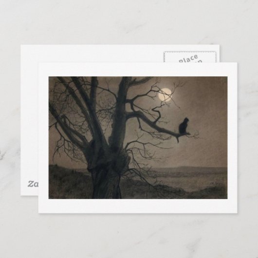 Kat in de Moonlight, Alexandre Steinlen Briefkaart (Voorkant / Achterkant)
