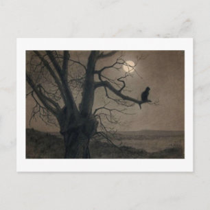 Kat in de Moonlight, Alexandre Steinlen Briefkaart