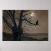 Kat in de Moonlight, Alexandre Steinlen Poster (Voorkant)