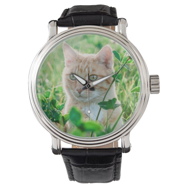 Kat in de natuur horloge (Voorkant)
