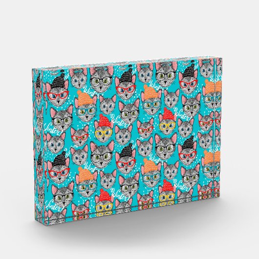 Kat in de pet fotoblokken (Links)