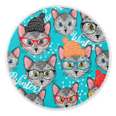 Kat in de pet keramische knop (Voorkant)