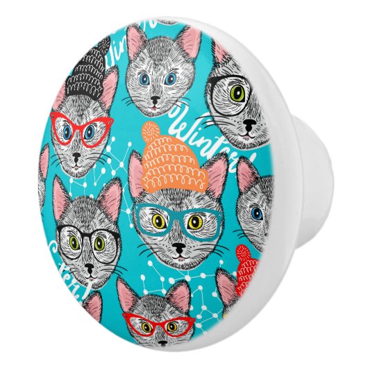 Kat in de pet keramische knop (Rechts)