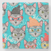 Kat in de pet stenen onderzetter (Voorkant)