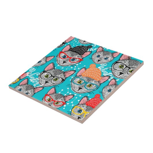 Kat in de pet tegeltje (Zijkant)