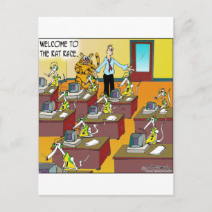 Kat in de rijbaan briefkaart