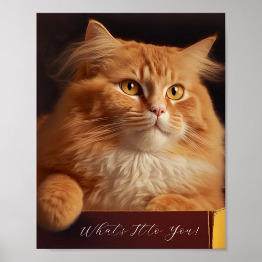 Kat in de schoenenkast - Sarcastisch kat Poster (Voorkant)