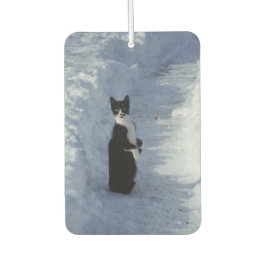 kat in de sneeuw luchtverfrisser