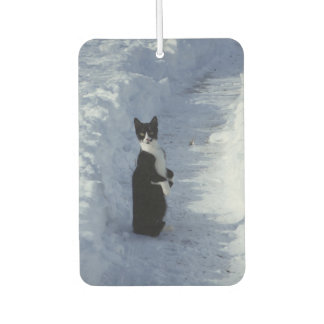 kat in de sneeuw luchtverfrisser