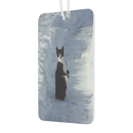 kat in de sneeuw luchtverfrisser (Links)