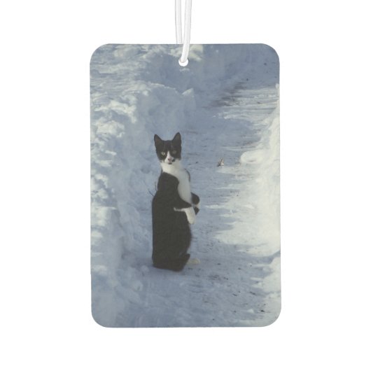 kat in de sneeuw luchtverfrisser (Achterkant)