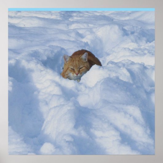 Kat in de sneeuw poster (Voorkant)