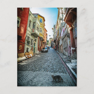 Kat in de straat van Istanboel Briefkaart