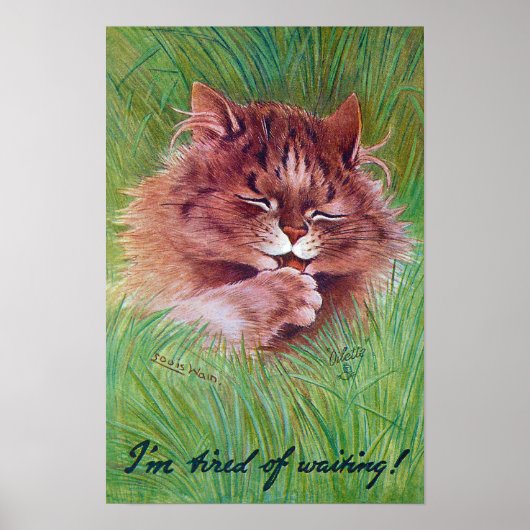 Kat in de struiken, Louis Wain Poster (Voorkant)