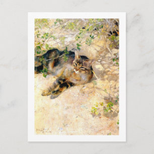 Kat in de Sunshine, Bruno Liljefors Briefkaart