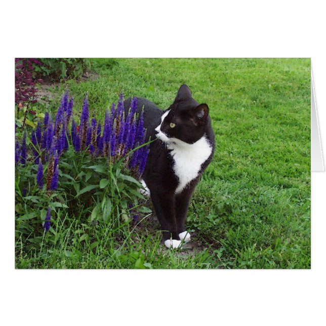 Kat in de tuin (Voorkant Horizontaal)