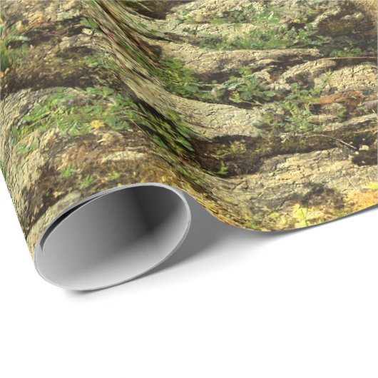 Kat in de tuin cadeaupapier (Rol Hoek)