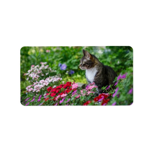 Kat in de tuin etiket (Voorkant)
