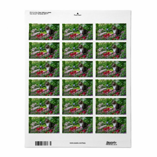 Kat in de tuin etiket (Full Sheet)