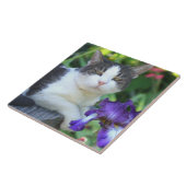 Kat in de tuin tegeltje (Zijkant)