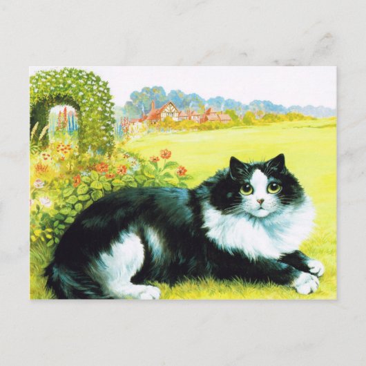 Kat in de Vloertuin, Louis Wain Briefkaart (Voorkant)