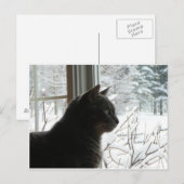 Kat in de winter briefkaart (Voorkant / Achterkant)